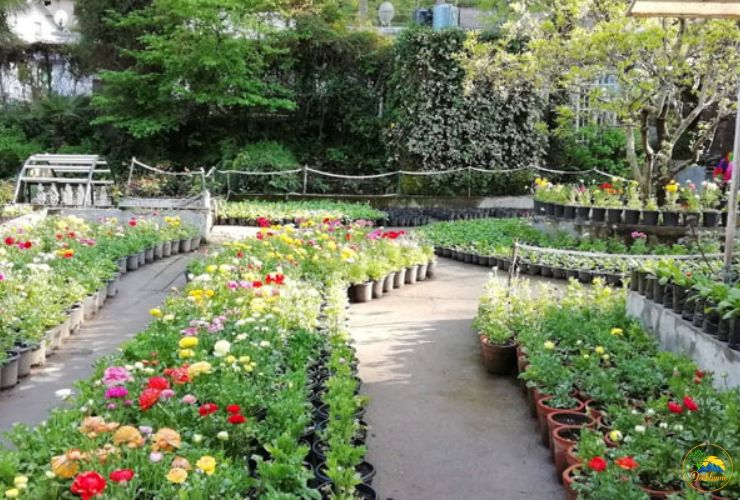 company-garden tour