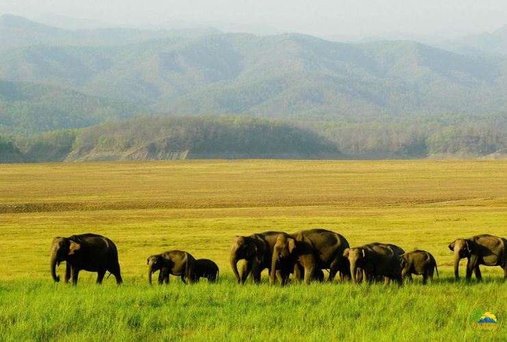 corbett tour ex delhi