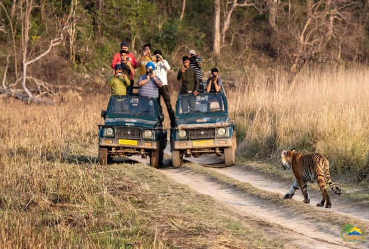 corbett tour ex delhi